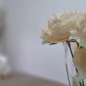 Appartamento Giulia, Giarre