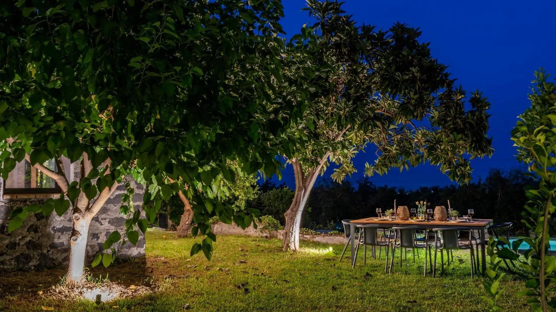 Avocado Garten Giarre Italy