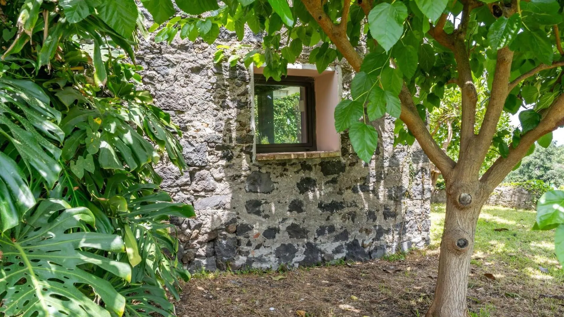 Avocado Garten Giarre Holiday home