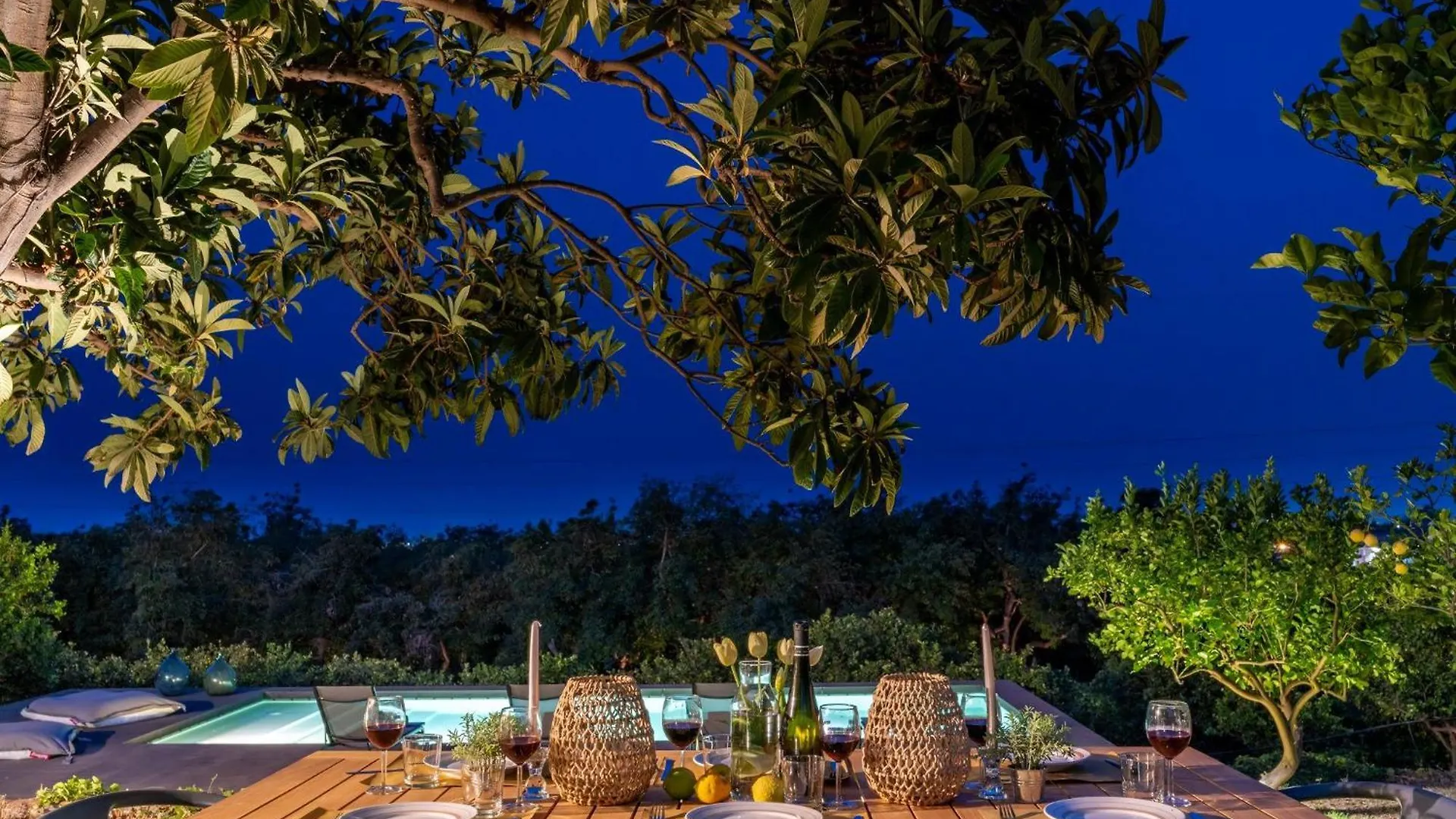 Avocado Garten Giarre Italy